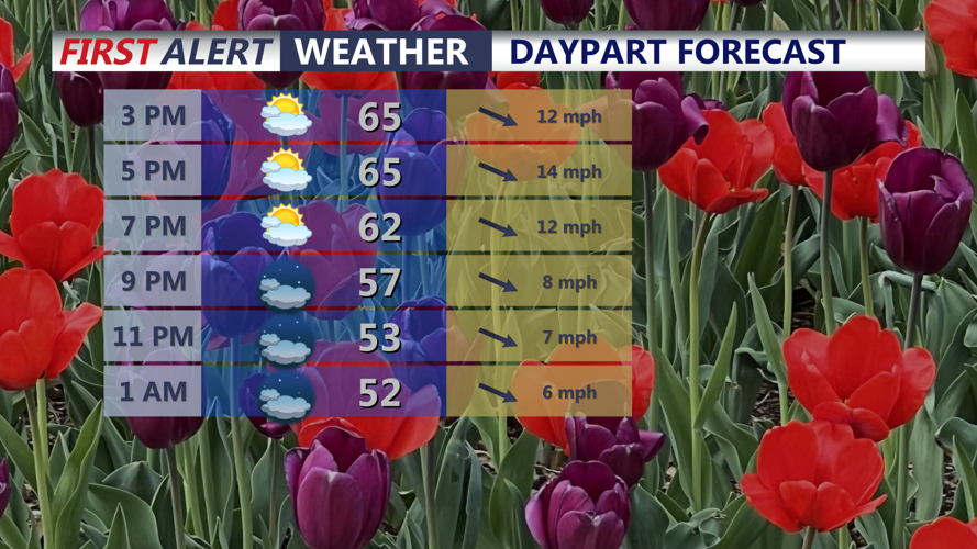 Daypart Forecast