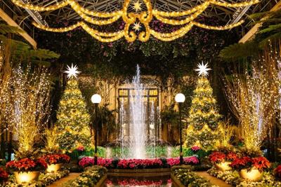 Rehoboth Art League plans holiday bus trip to Longwood Gardens Christmas Spectacular