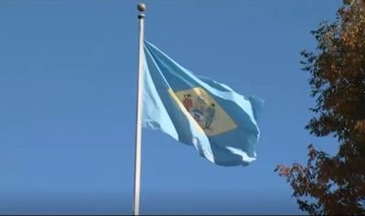 Delaware flag.