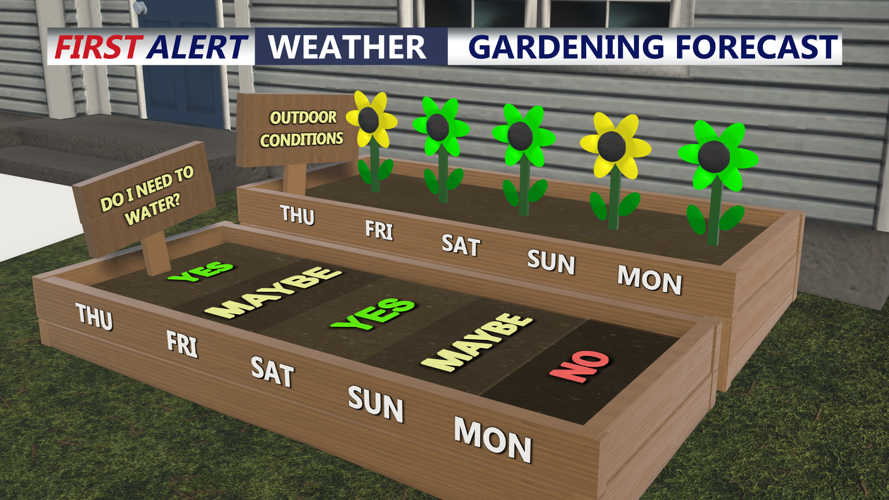 Graphic shows when is the best time to water your garden.