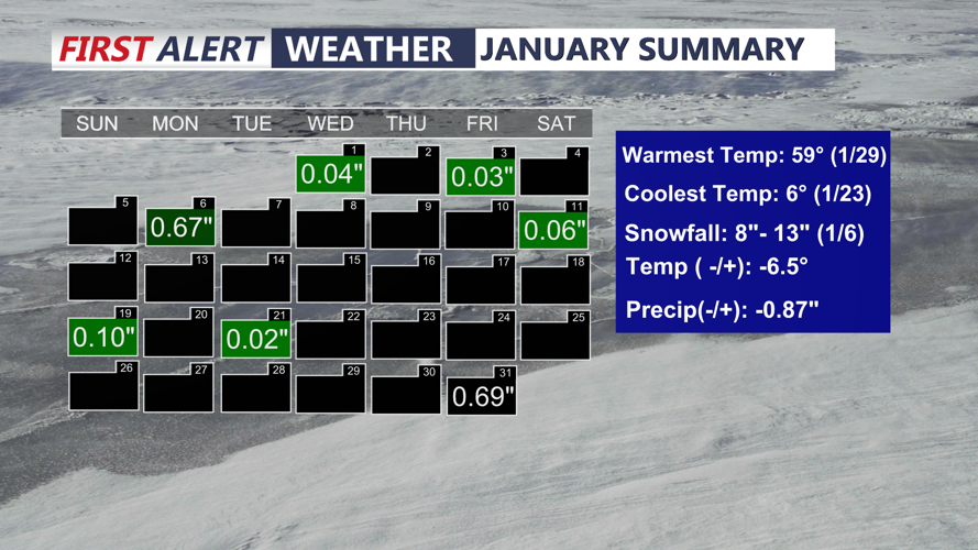 January Precipitation Summary