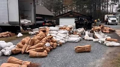 Delaware Forest Service