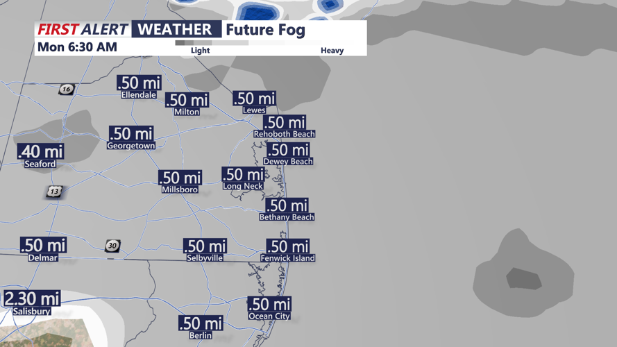 future fog