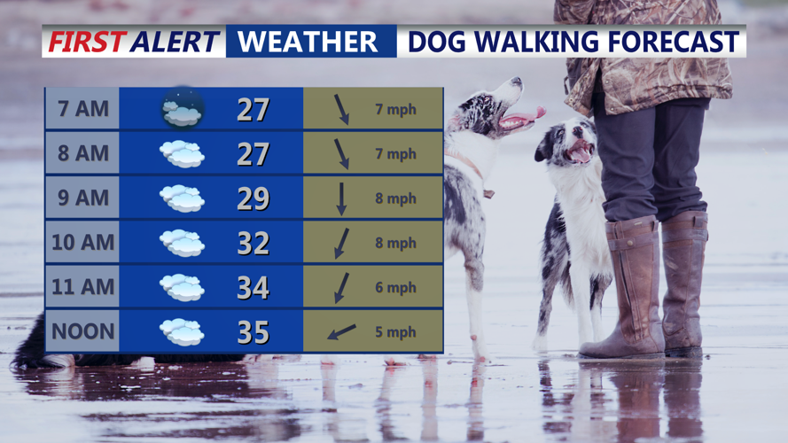 DOG WALKING FORECAST