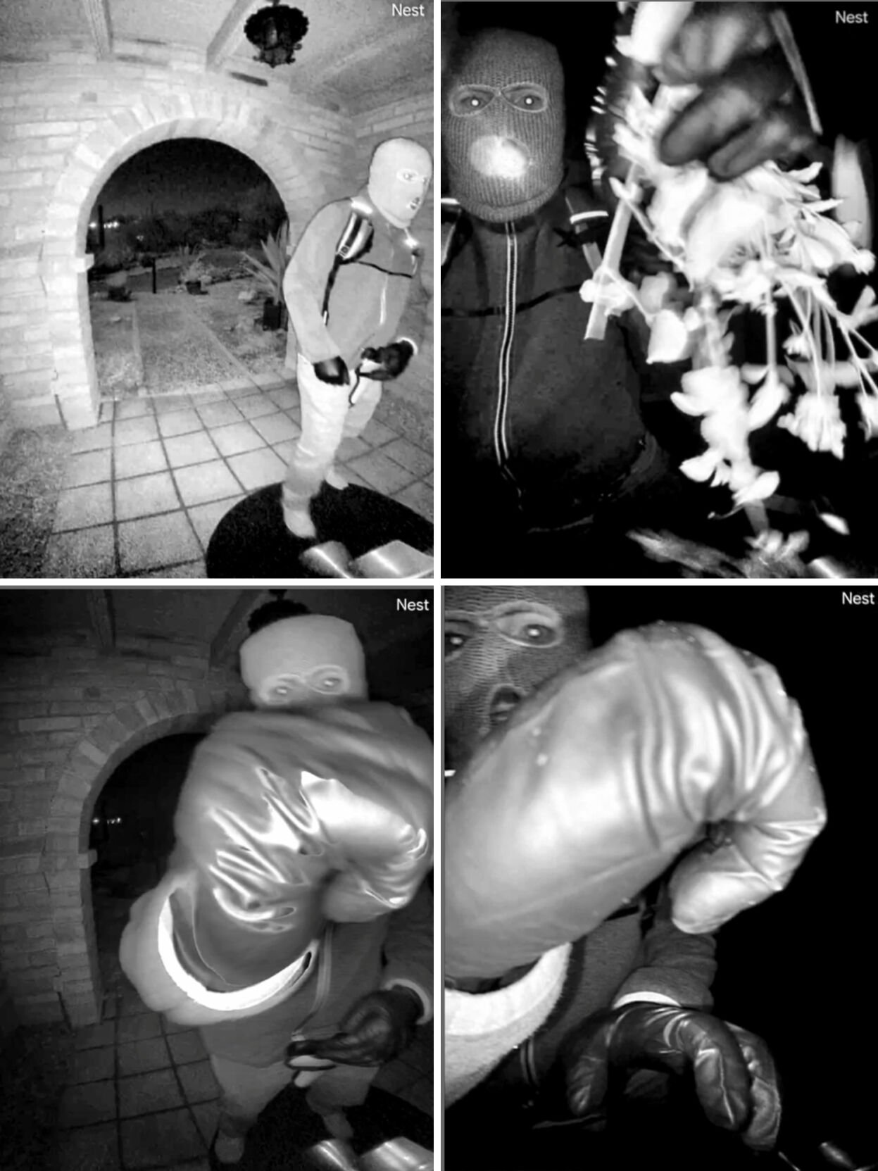 SAVANNAH GUTHRIE-MADRE DESAPARECIDA