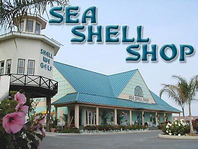 sea shell shop