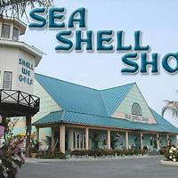Sea Shell Shop Consolidates into One Store | News | coasttv.com