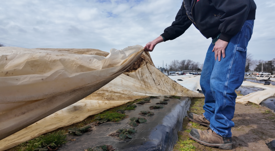 Farmers are preparing for the busy spring season.