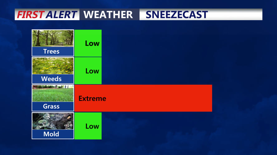 SNEEZECAST