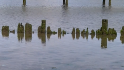 Delaware Receives Funding For Water Quality Testing