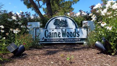 Caine Woods