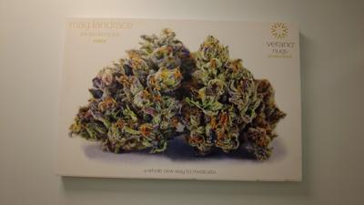 People and businesses in Ocean City adjust to life with recreational marijuana legalization in Maryland