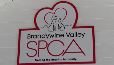 red and white sign with dog and cat hugging