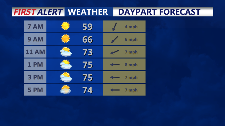 DAYPART FORECAST