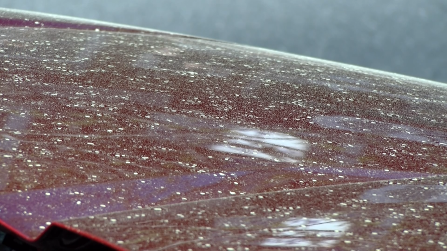 Pollen coats cars