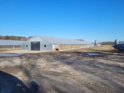 Chicken farm fire