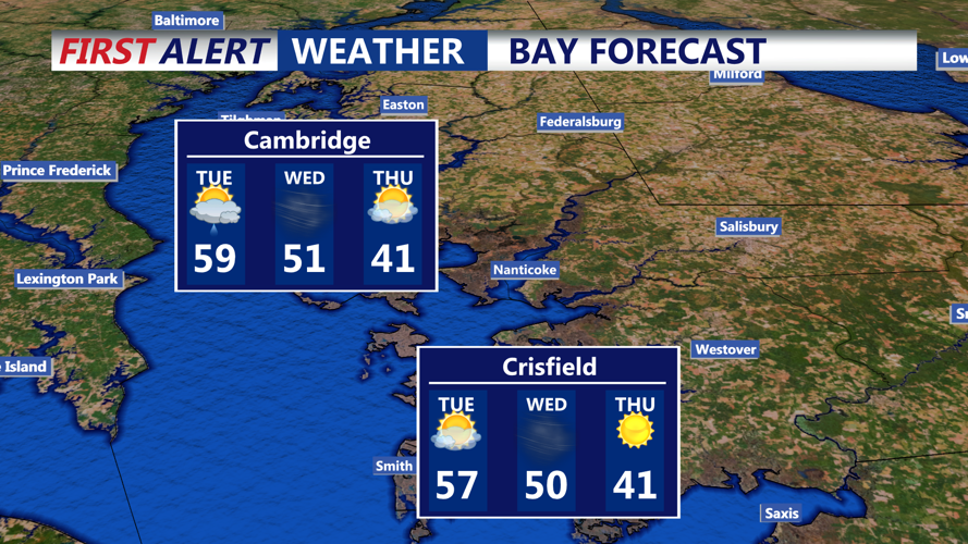 BAY FORECAST