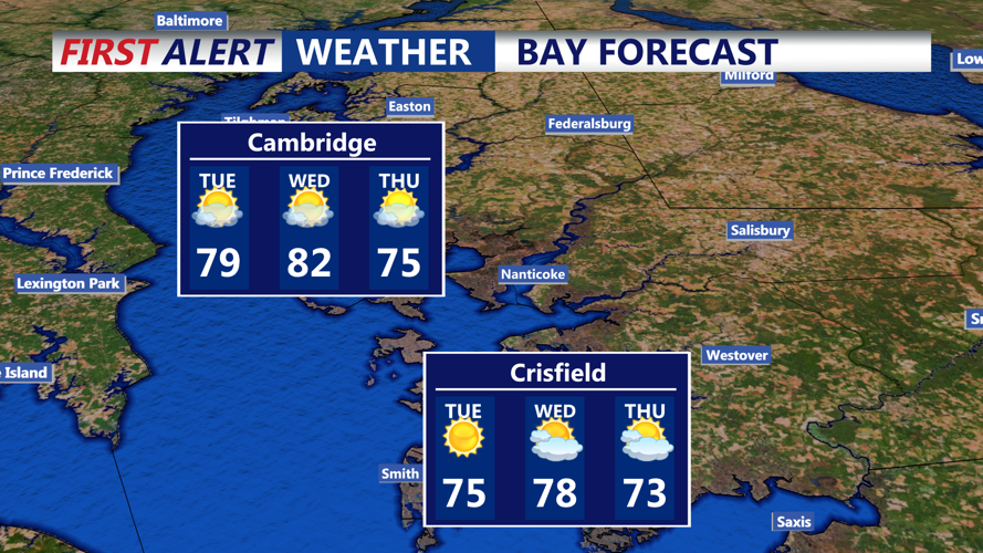 BAY FORECAST