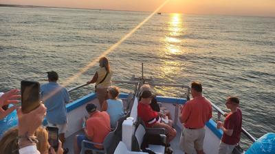 sunset dolphin tour