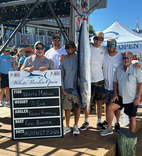 A group of men standing at the scales with their second place white marlin, a 71.5-pound catch.