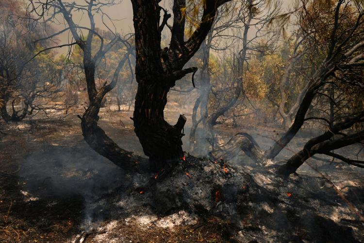 Spain Wildfires