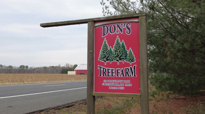 DON'S TREE FARM