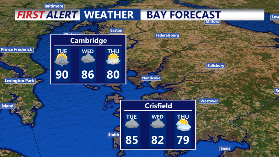 BAY FORECAST