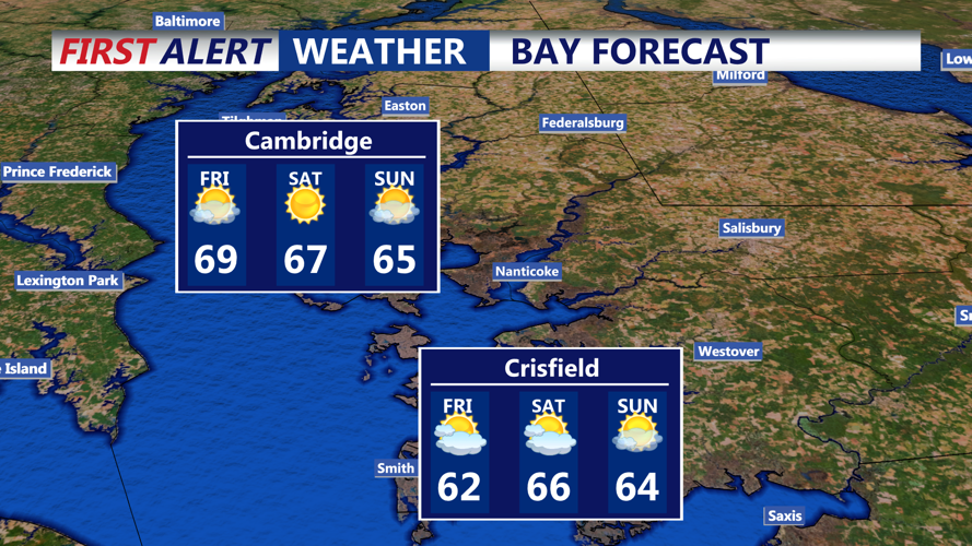 BAY FORECAST
