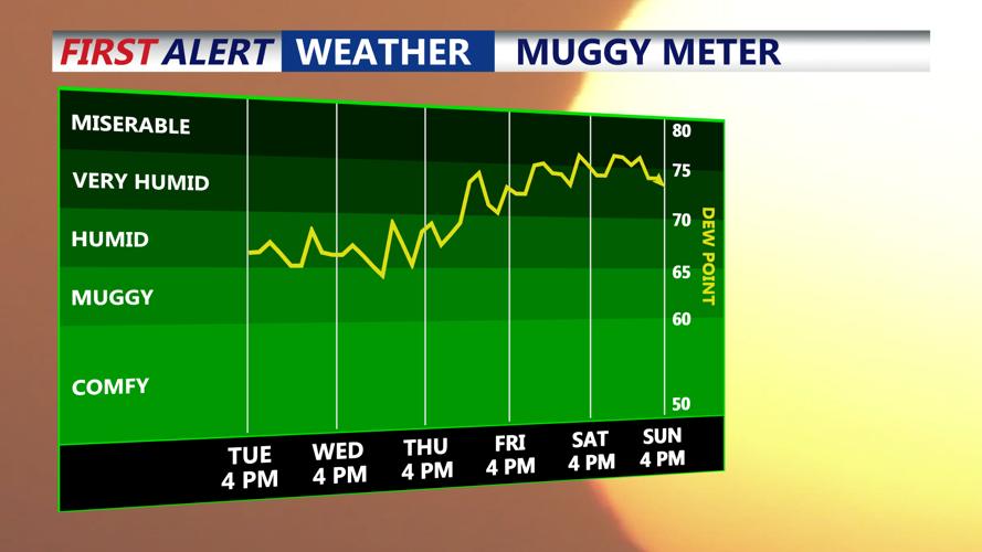 MUGGY METER