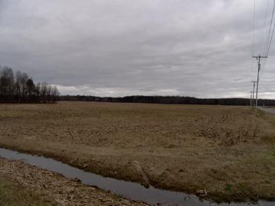 land