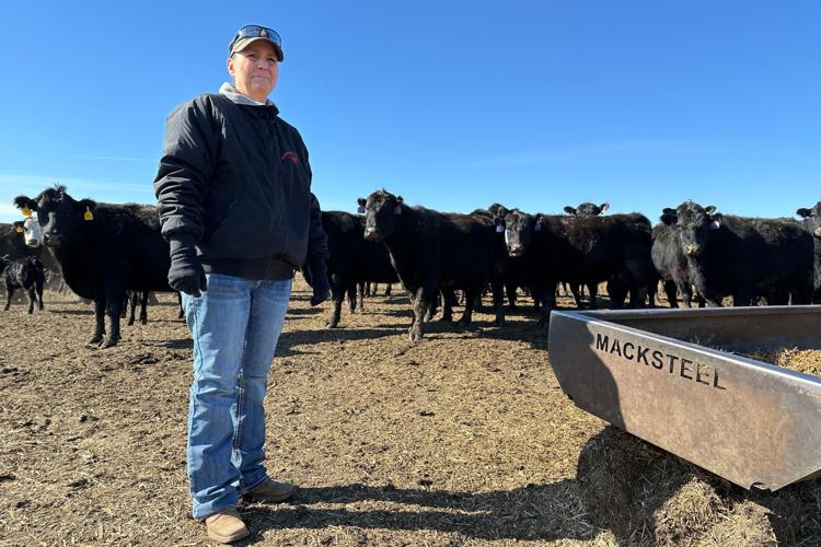 Beef Prices Ranchers
