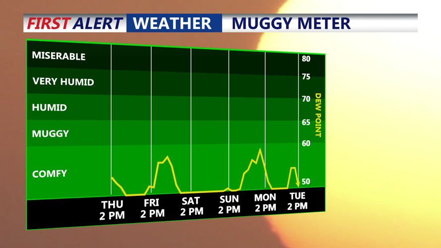 muggy meter