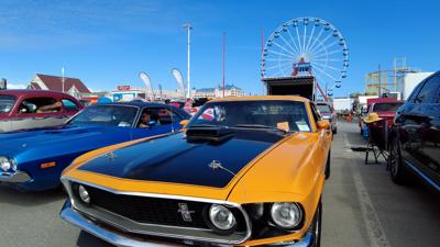 Endless Summer Cruisin'