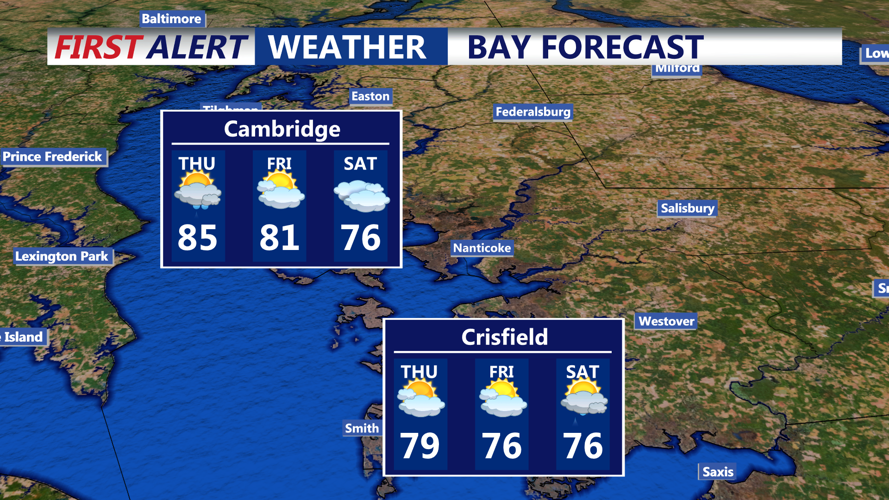 BAY FORECAST