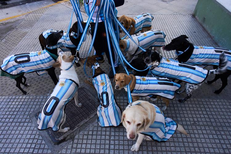 Argentina WCup Soccer Reaction