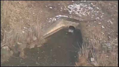 City of Rehoboth Beach to Have Special Meeting to Discuss a Sussex County Proposal Regarding Their Ocean Outfall