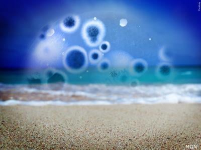 Beach bacteria