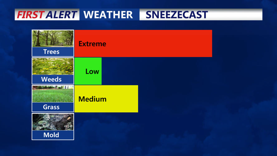 Sneezecast