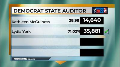 Kathy McGuiness v. Lydia York Vote Count