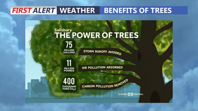 Benefits of Trees