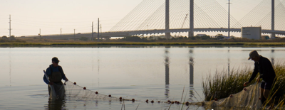 coastal bay