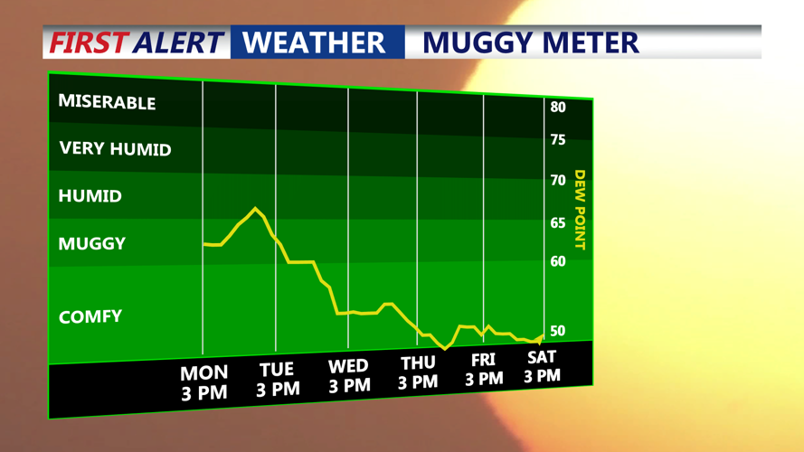 MUGGY METER