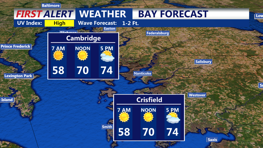 Bay Forecast Hourly