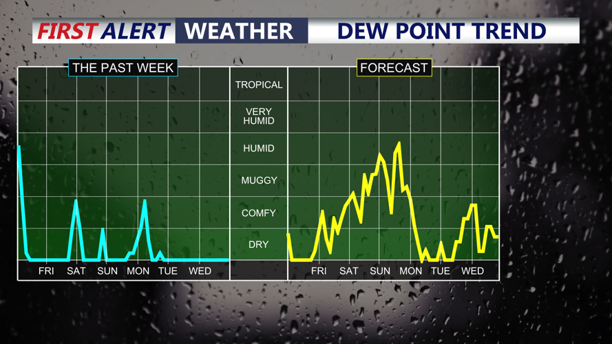 Dew Point Trend