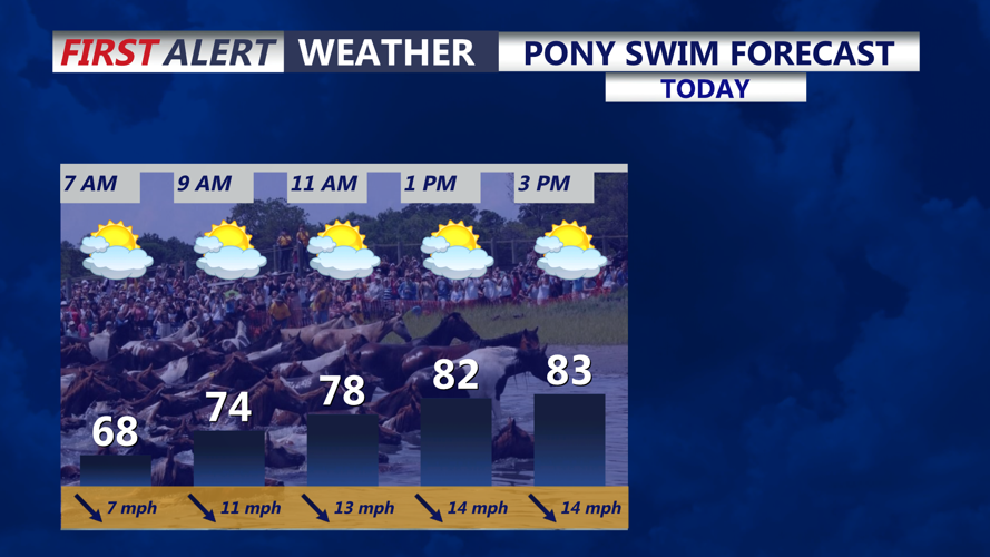 Pony Swim