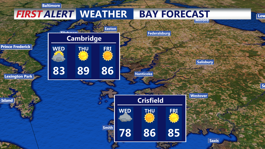 BAY FORECAST