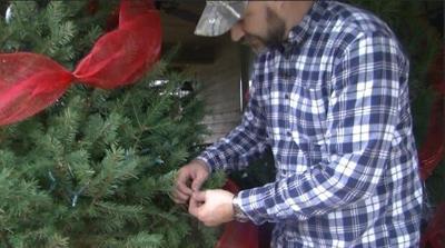 Tips to Make Your Tree Last Through the New Year