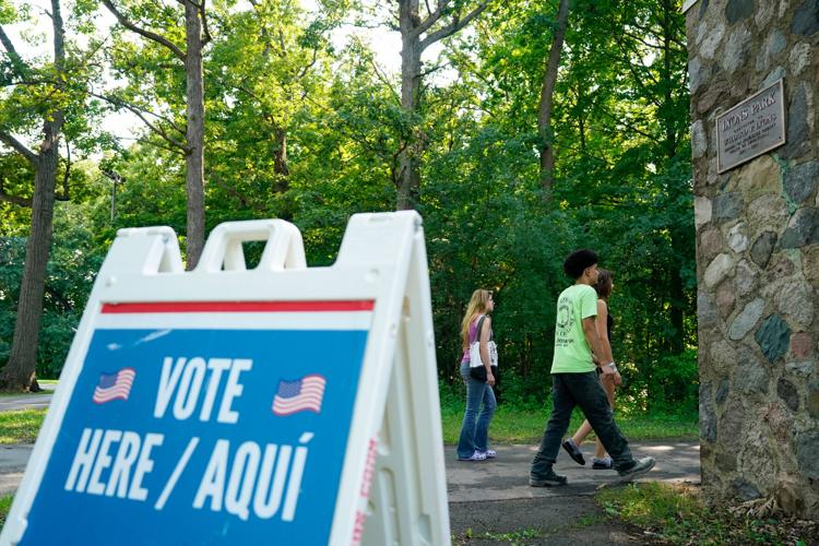 Election 2026 Noncitizen Voting