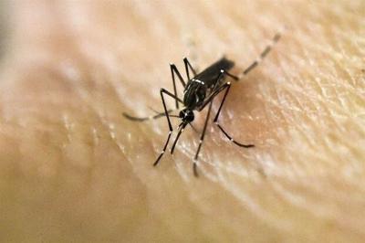 More Zika Cases in Delaware