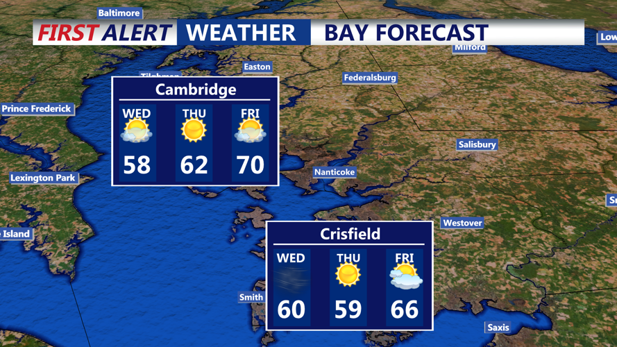 BAY FORECAST